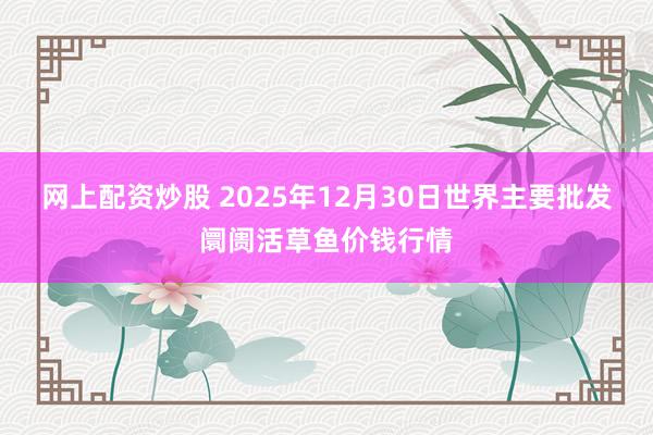 网上配资炒股 2025年12月30日世界主要批发阛阓活草鱼价钱行情