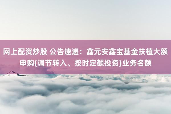 网上配资炒股 公告速递：鑫元安鑫宝基金扶植大额申购(调节转入、按时定额投资)业务名额