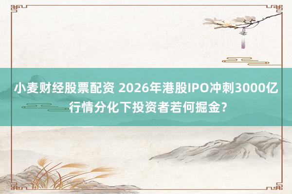 小麦财经股票配资 2026年港股IPO冲刺3000亿 行情分化下投资者若何掘金?