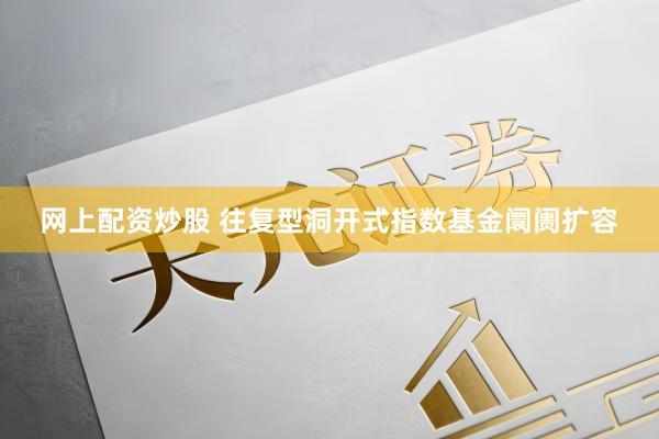 网上配资炒股 往复型洞开式指数基金阛阓扩容